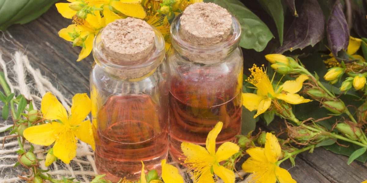 St. John’s Wort Oil: The Magic Ointment That Heals Skin, Sore Muscles And Many More!