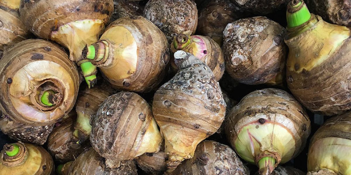 Taro Root: All You Need To Know About Its Amazing Health Benefits
