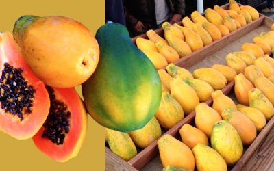 Tips On How To Choose A Papaya That Is Non-GMO