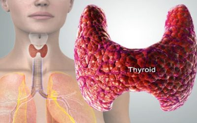 Avoid Pills! Reverse Thyroid Problems Naturally With Specific Nutrients And Herbs