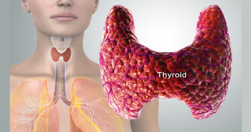 reverse thyroid problems naturally