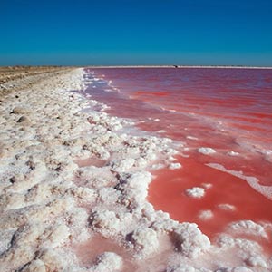 Sea salt on the Carmague, France