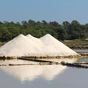 Flor de sel salt pools in Mexico