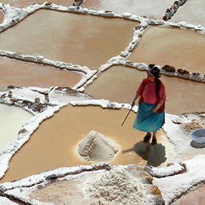 Pink Maras Salt, Peru