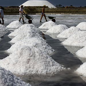 Salt workers in Trapani, Italy