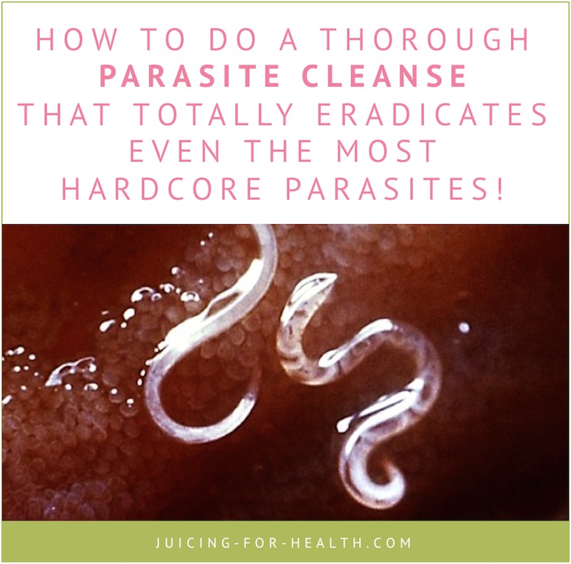 parasite cleanse