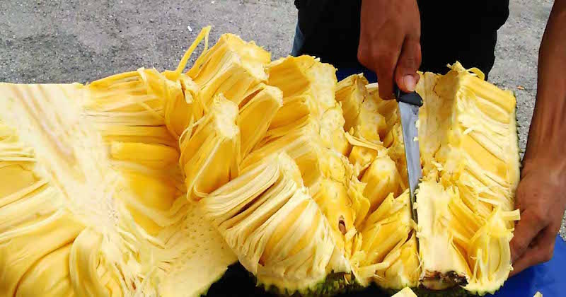 cutting jackfruit