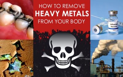 Top Strategies And Heavy Metal Chelating Foods To Treat Heavy Metal Toxicity