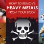 Top Strategies And Heavy Metal Chelating Foods To Treat Heavy Metal Toxicity