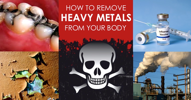 heavy metal toxicity