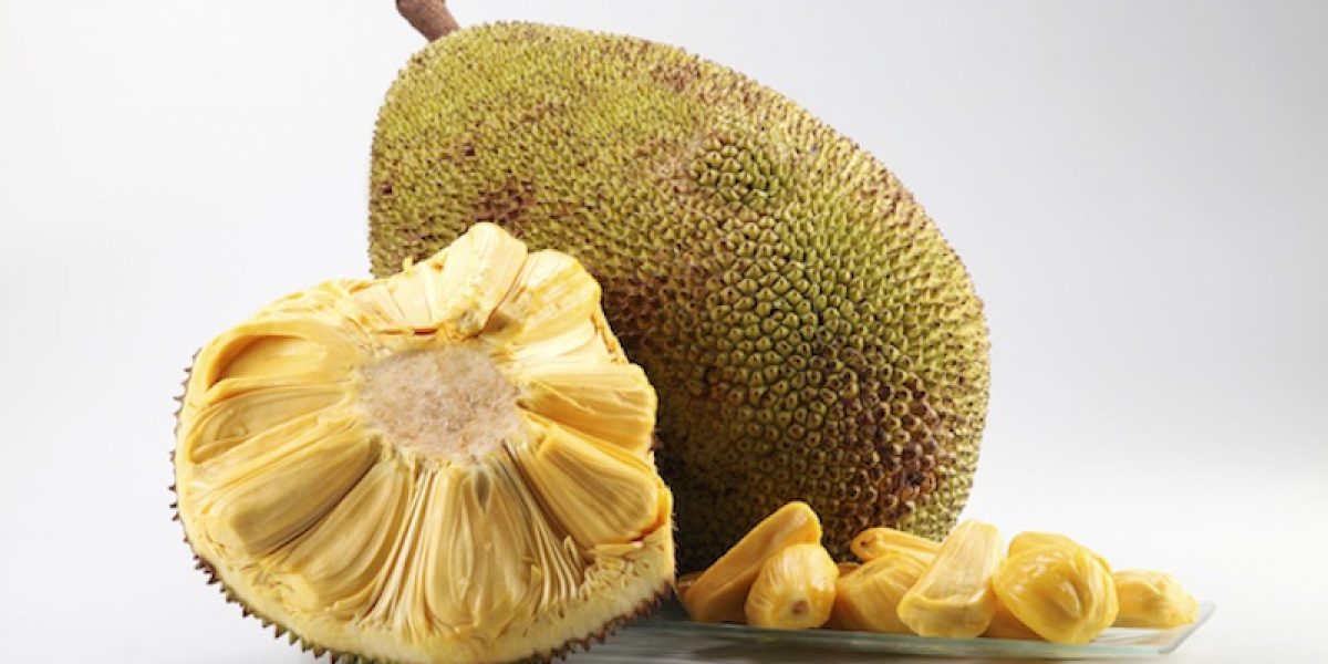 Meet The World’s Largest Tree Fruit That Is An Arsenal Of Powerful Anti-Cancer Agents