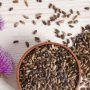 Milk Thistle: Nature’s Gift Of Detox For Your Liver And Kidneys