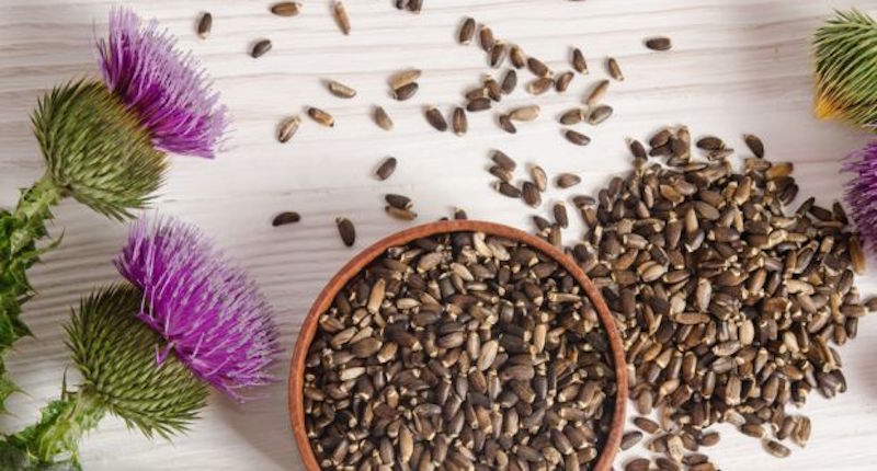 milk thistle benefits