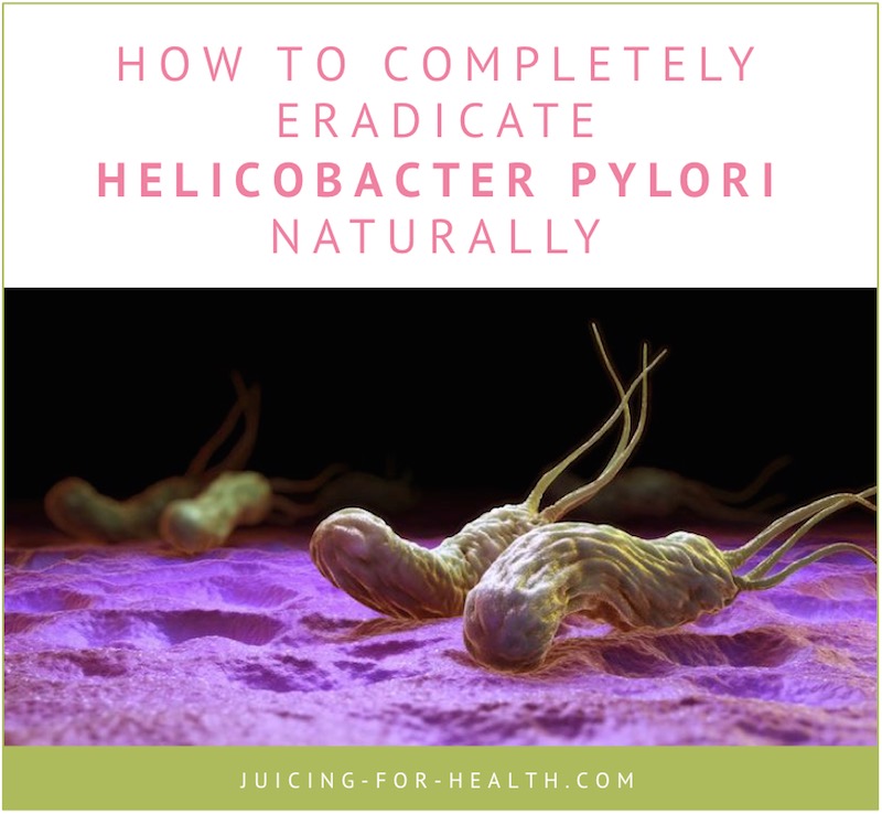 helicobacter pylori natural treatments
