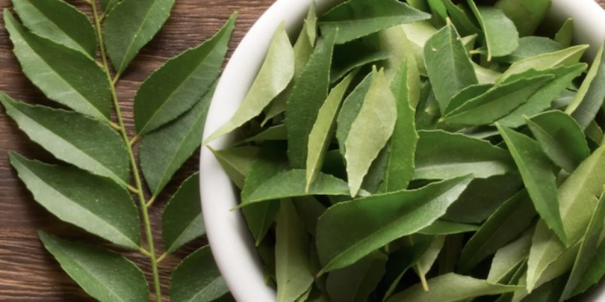Top 6 Medicinal And Anti-Cancer Properties Of Curry Leaves