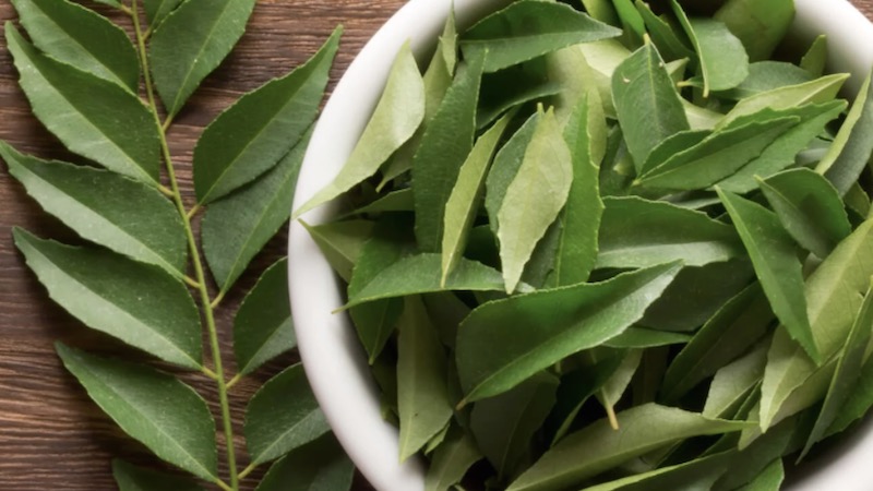 anti-cancer properties of curry leaves