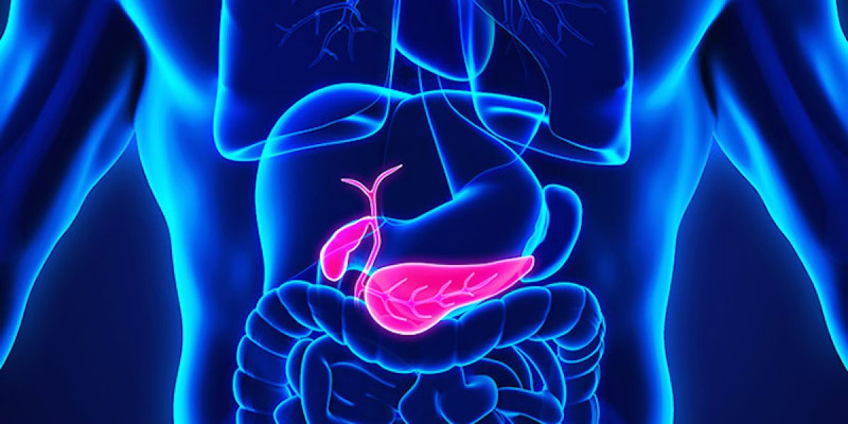 Gallbladder Removal—Should You Do It? What If You Have Already Lost It?