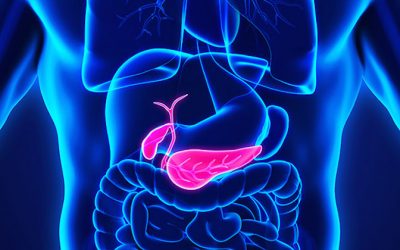 Gallbladder Removal—Should You Do It? What If You Have Already Lost It?