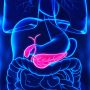 Gallbladder Removal—Should You Do It? What If You Have Already Lost It?