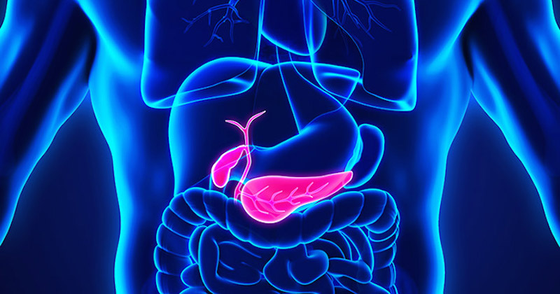 gallbladder