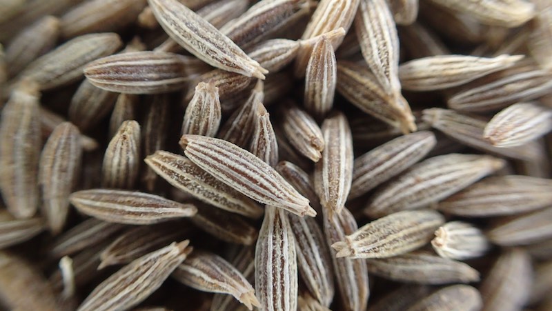 cumin seed benefits