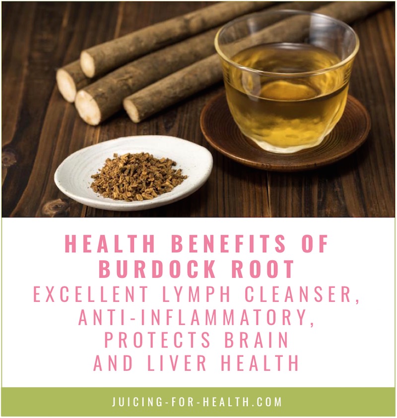 burdock root benefits