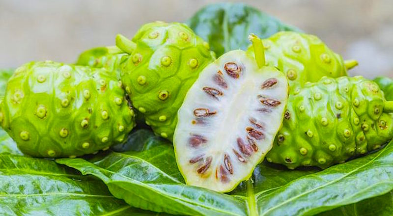health benefits of noni fruit