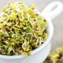 Broccoli Sprouts Kill Cancer Growth, Heal Chronic Diseases, Fight Inflammation