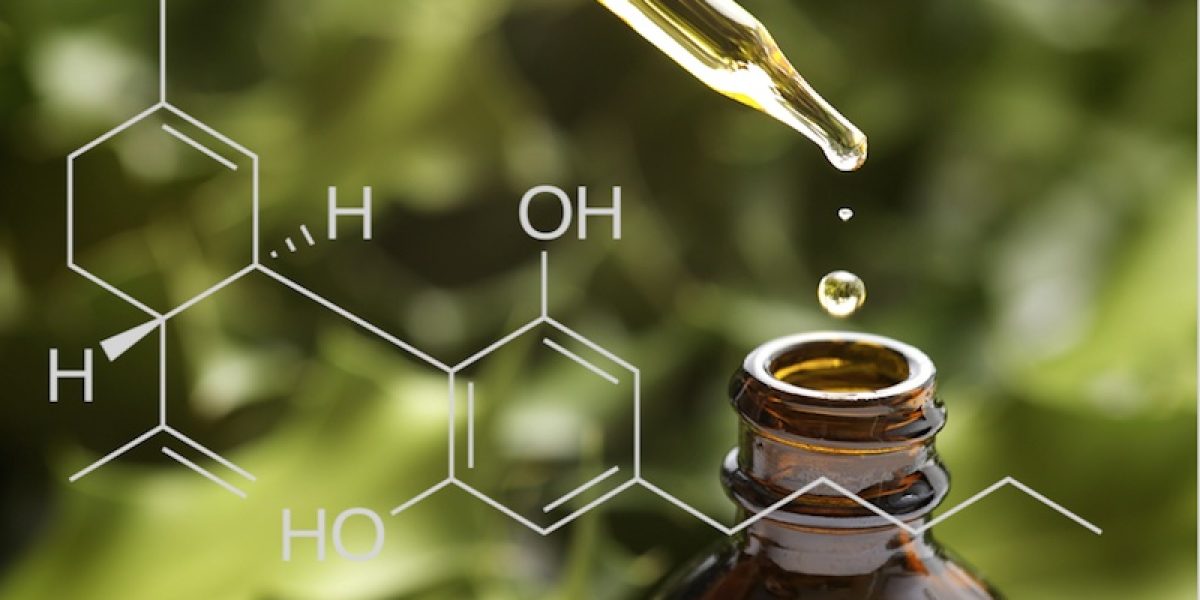 CBD Oil Protects Brain Health, Treats Epilepsy, Soothes Inflammation, & More