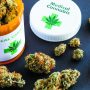 Medical Cannabis and Cancer—How It Helps Your Body To Heal Diseases And Cancer