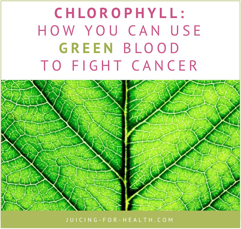 use chlorophyll to fight cancer