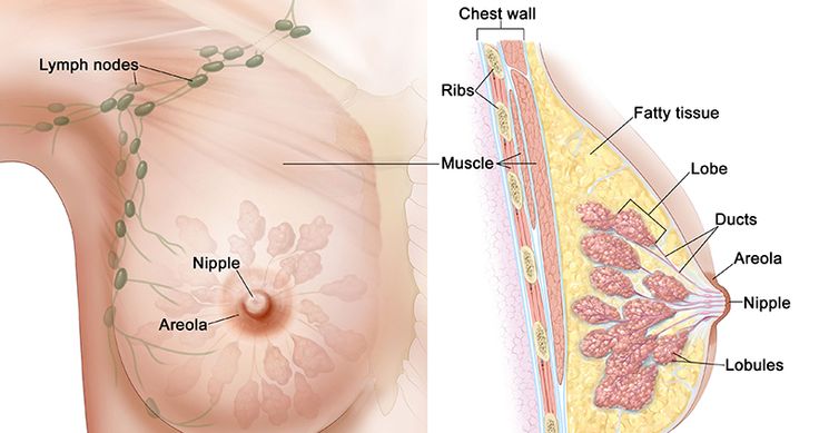 underarm and breast lymph nodes 