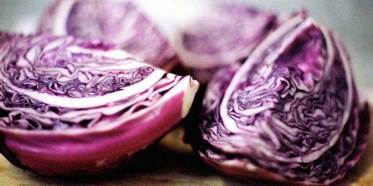 Red Cabbage Protects You Against Cancer, Inflammation And Diabetes