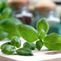 The Surprising Health Benefits And Medicinal Uses Of Sweet Basil
