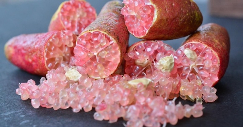 finger lime or caviar lime