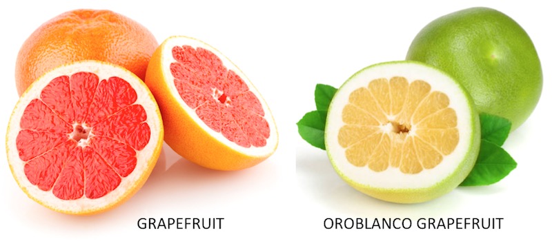 types of grapefruits