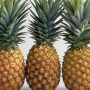 STUDY: Pineapple Bromelain Prevents Cancer And Kills Tumorous Cancer Cells