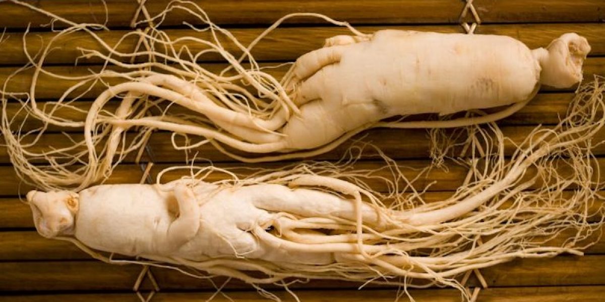 Panax Ginseng: The Panacea For All Types Of Ailments