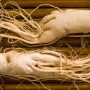 Panax Ginseng: The Panacea For All Types Of Ailments
