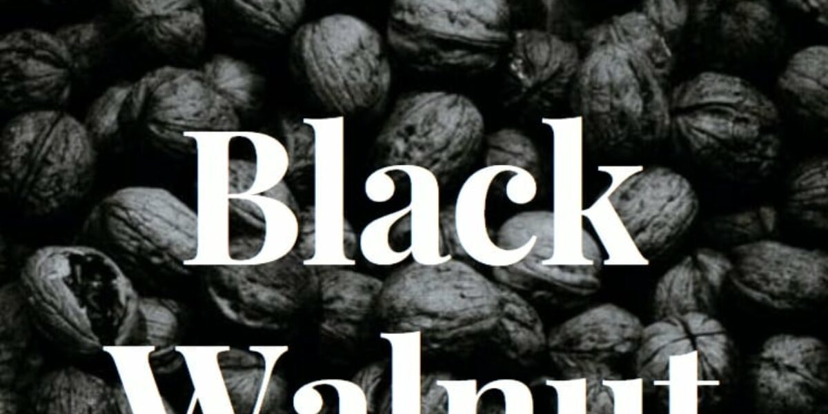 Black Walnut Benefits