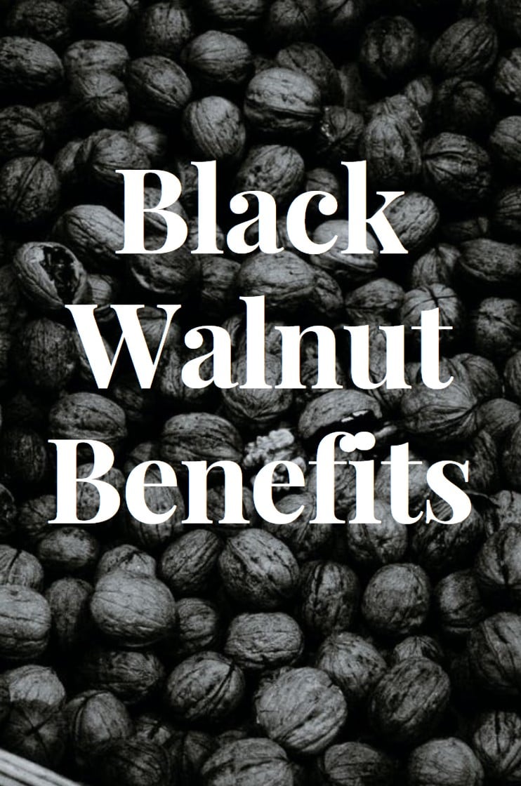 black walnut benefits