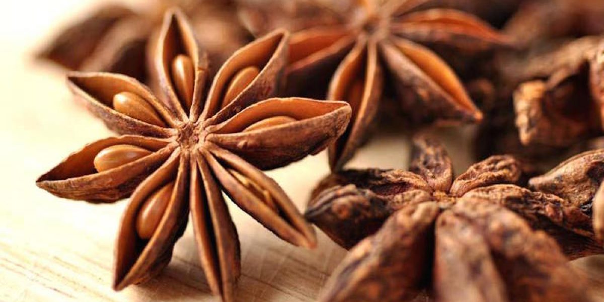 Medicinal Uses And Health Benefits of Star Anise Spice