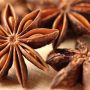 Medicinal Uses And Health Benefits of Star Anise Spice