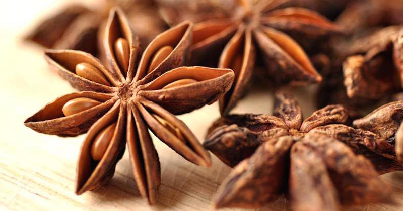 Health Benefits of Star Anise Spice And Its Medicinal Virtues