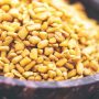 Fenugreek Seeds Have Anti-Diabetic Properties, Heal Pancreas, Boost Insulin Production
