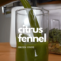 Citrus Fennel Recipe