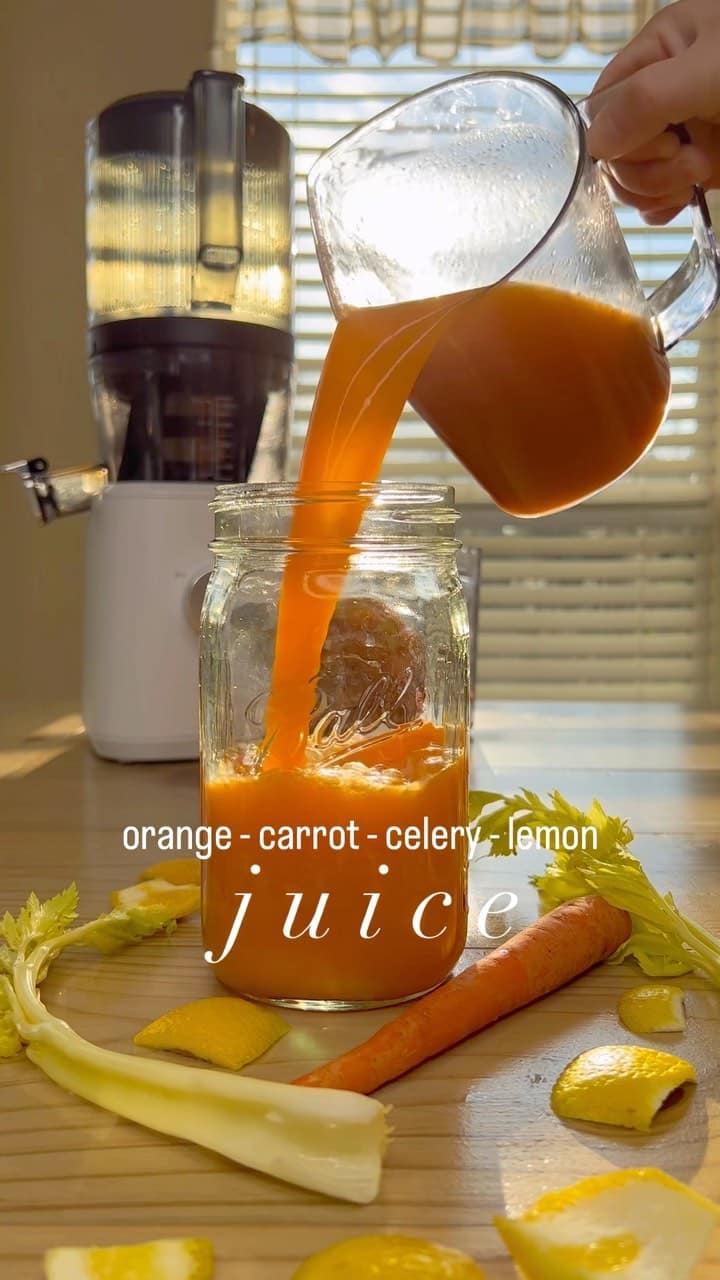 OrangesCarrotsCeleryLemon Juice Recipe