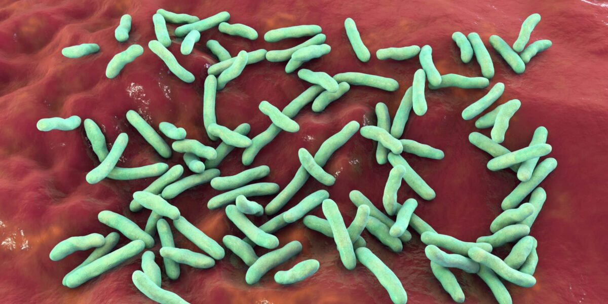 Flesh-Eating Bacteria Leaves Eight People Dead as Cases Rise Amid Health Warning