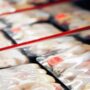 Costco stops selling antibiotic laden chicken in response to consumer demand