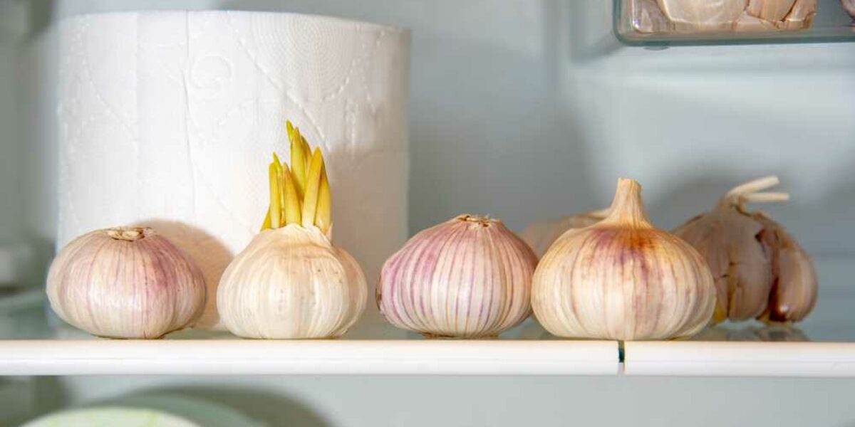 Put a Clove of Garlic in the Toilet Before Going to Bed, You Will Not Regret It